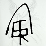 Aster_LIU