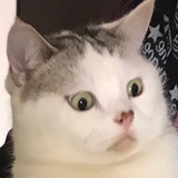 末末