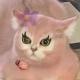 龙娜贝儿
