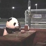 快说是什么