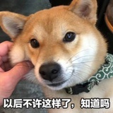 DD