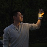 wang_