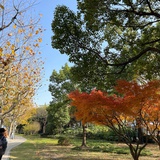云道音修