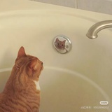 玩子Oo