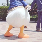 兜里有风