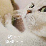 富贵吖