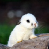 不工作就是进步