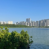 许步