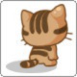 Shona