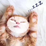 蒜蓉仙子