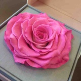 辣醬