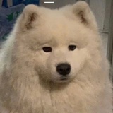 Luka