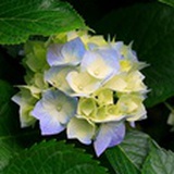 外外