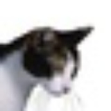 花猫子