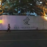 照桥心美
