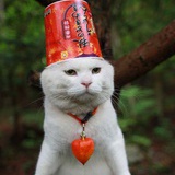 后会无期