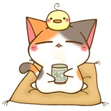 Catfan