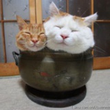 O~眼泪