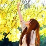忘记想起你