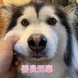 贝叶斯