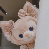 猫猫