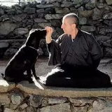 打狗女郎