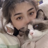 机智蠢萌少女