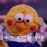 独居无猫使人愁