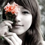 小雏菊