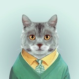 猫小东