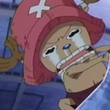 人土土兔儿