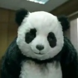 咔沙咔沙G