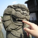 只猫