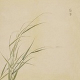 扬水站