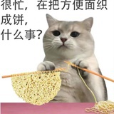 happy猫