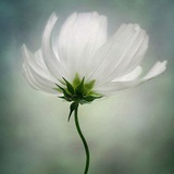 漫漫幽悠