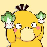一颗白菜