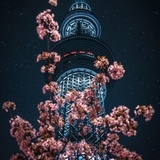 怀体
