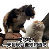 小驼仔