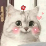 糯米团子