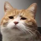 asukajoe