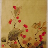 黄枝吱吱