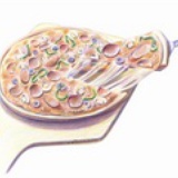 香草人