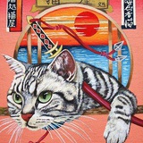 好猫