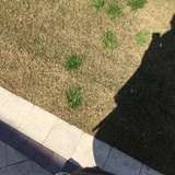 璐啊璐啊