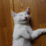 色。