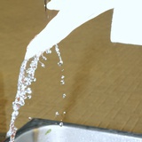 靴定鳄