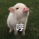 留晷
