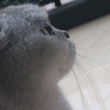 estee_cn1