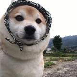 潮汐ni